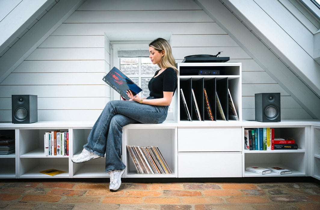 Pro-Ject All-In-One Colourful Audio System E