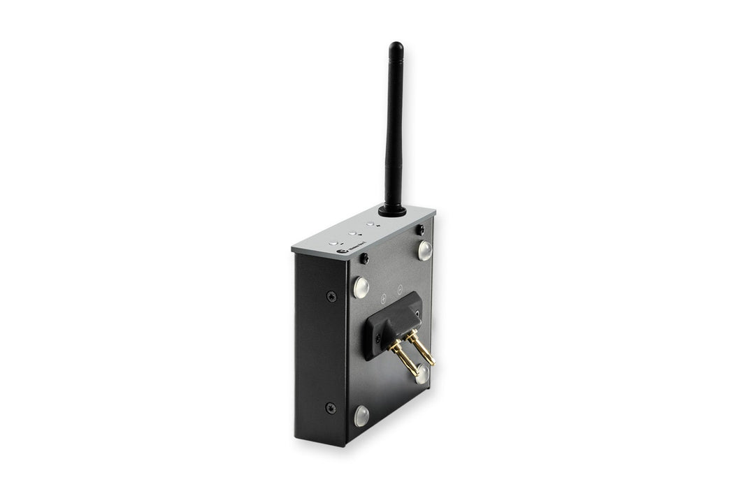 Pro-Ject Wireless Box E in Silver
