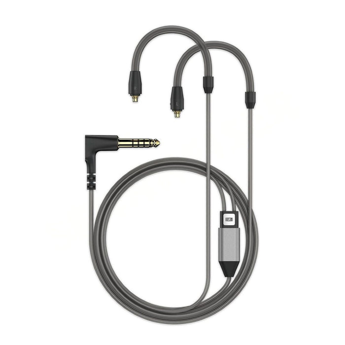 Sennheiser IE 900 In-Ear Headphones